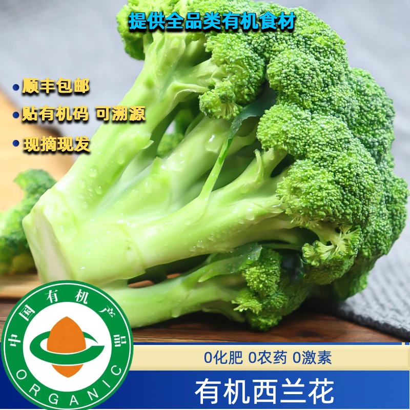 有机认证有机西兰花3斤有机花椰菜现摘现发货，新鲜无农残自然生长