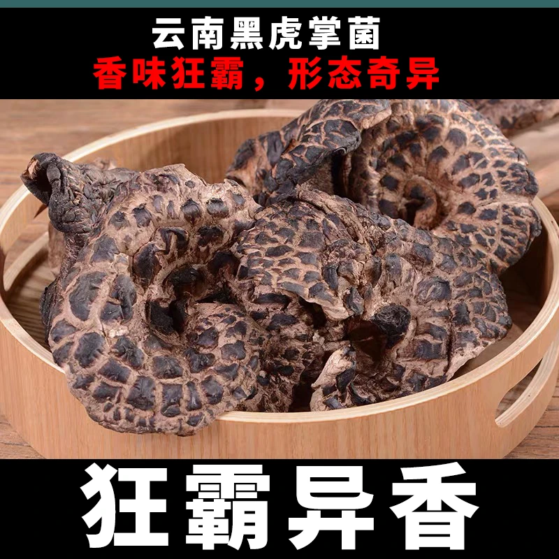 云南自然生长黑虎掌菌香味霸道炖汤香味浓郁超好吃的菌菇味道超香