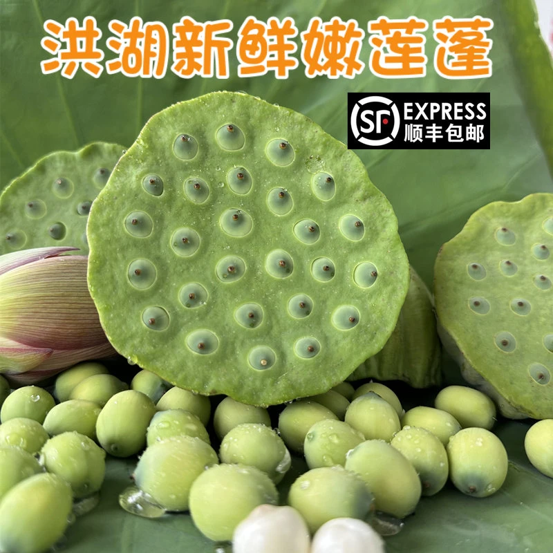 洪湖新鲜莲蓬现摘生吃2斤3斤新鲜孕妇水果莲子甜嫩湿即食