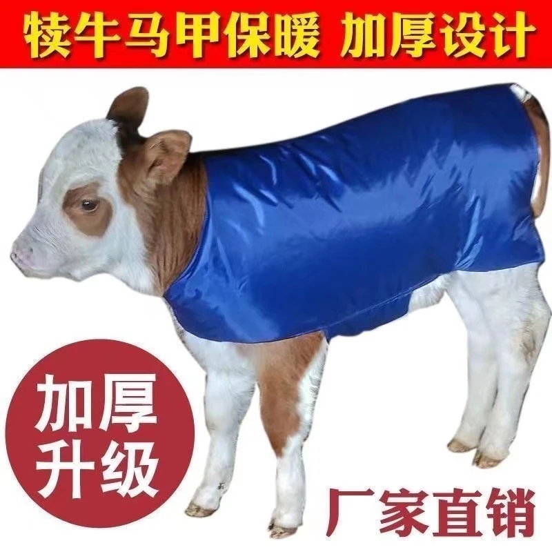 加厚牛犊马甲牛犊保暖防寒衣犊牛保温防水衣服通用型兽用加绒防寒商品图