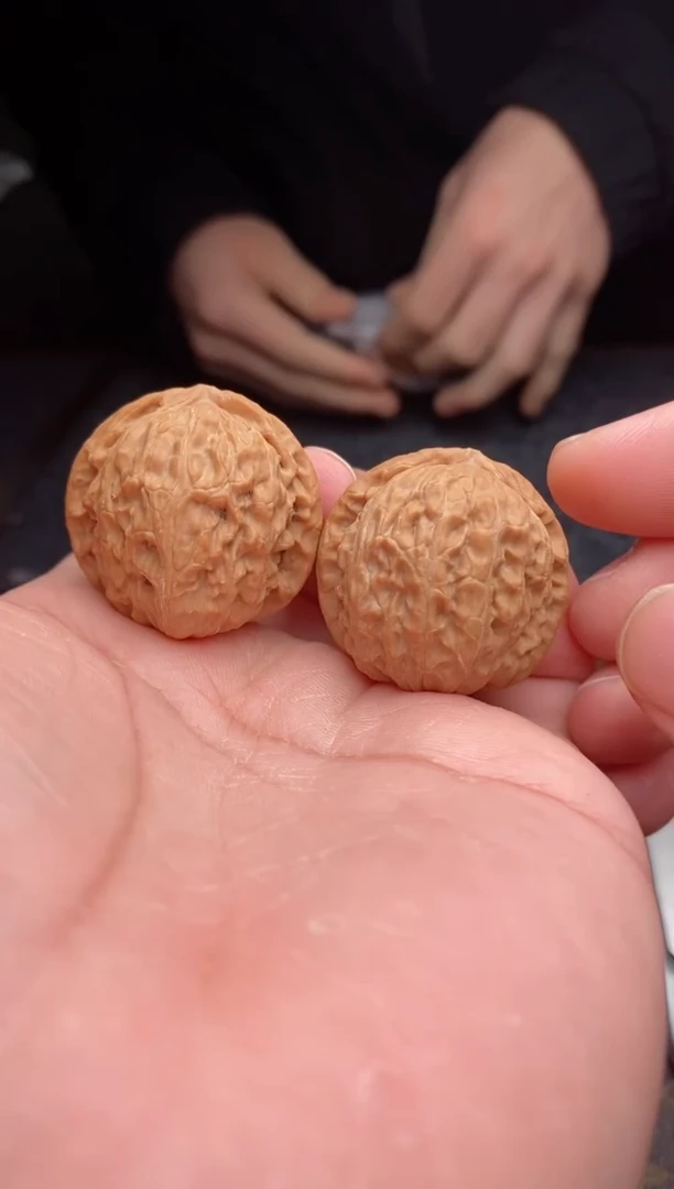 【闪购商品】桃核把件b198号33尺白狮子