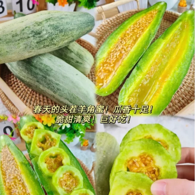 羊角蜜一个约400g,春天里的头茬 瓜香十足!