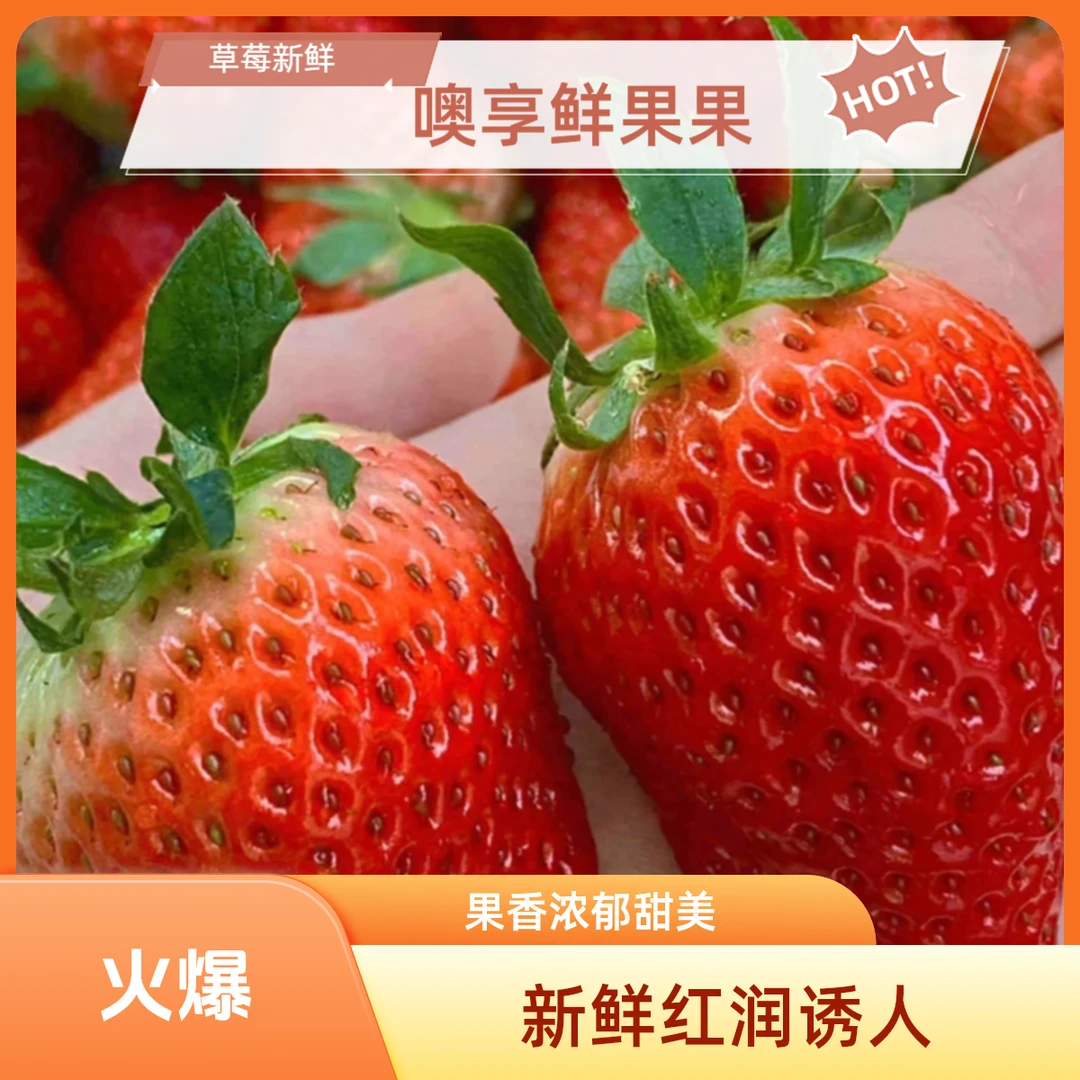 【新鲜到货】丹东草莓500g