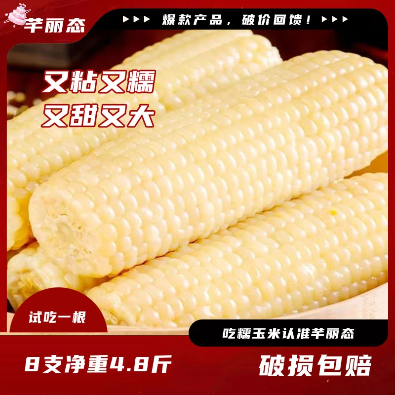 芊丽态【试吃一根】白糯玉米香甜糯粘真空新鲜8根280-350g净重4.8斤