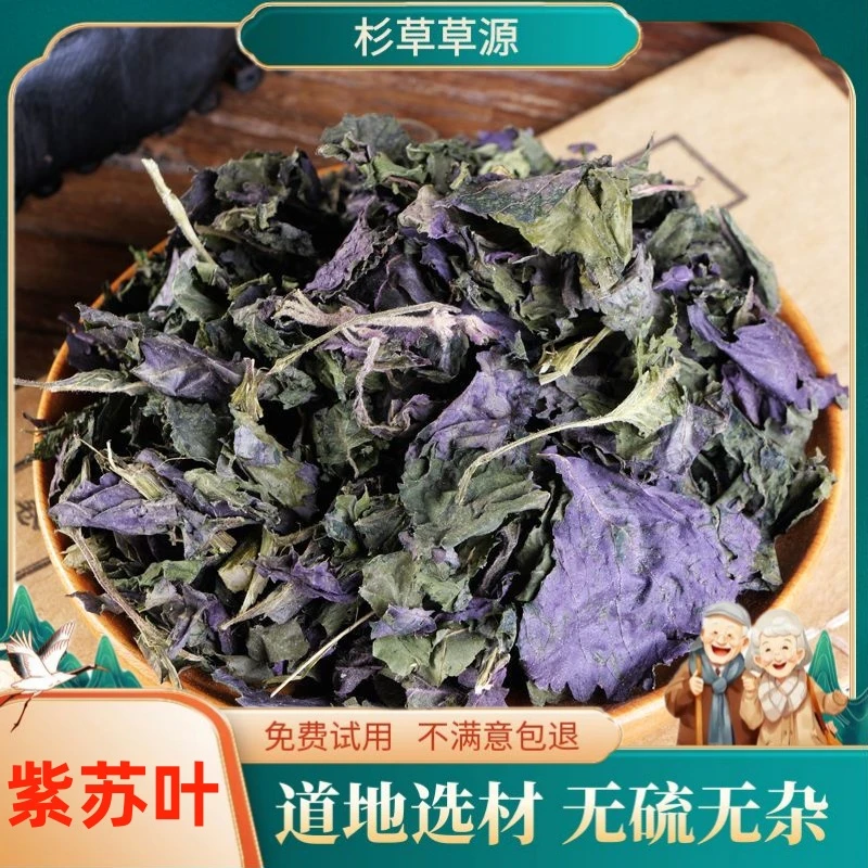 紫苏叶无硫紫苏梗干叶新鲜无硫苏叶100g紫苏皱苏尖苏香苏叶非甘草