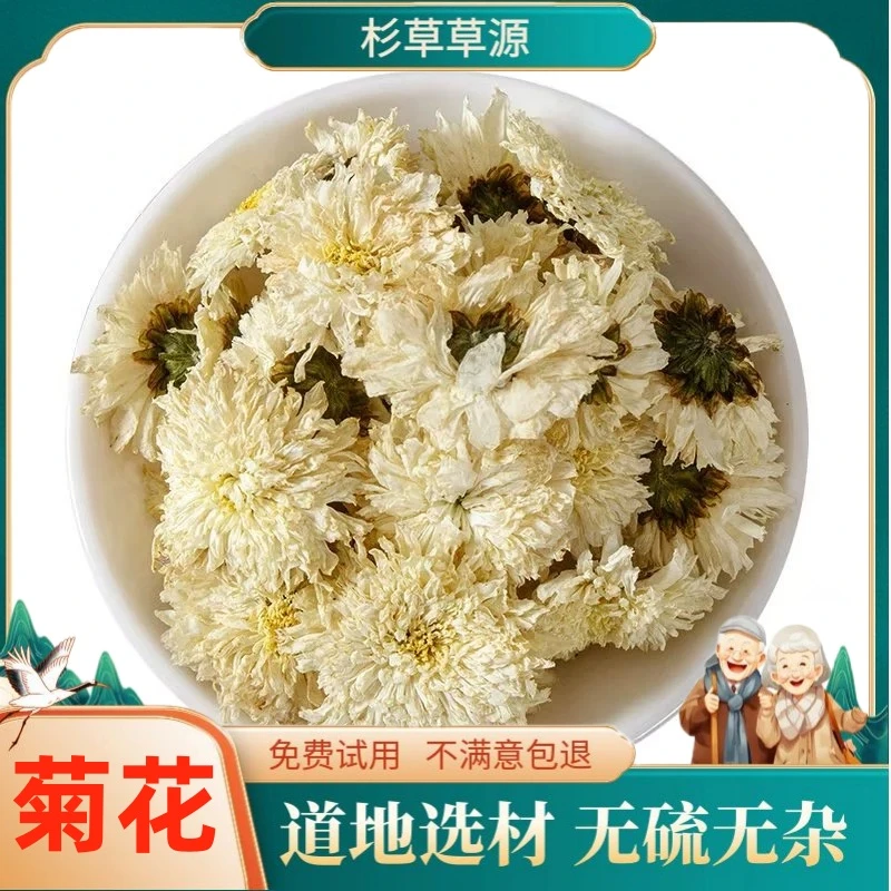 菊花新货安徽菊花茶100克干花菊亳菊花无熏染胎菊抗白菊非荷花