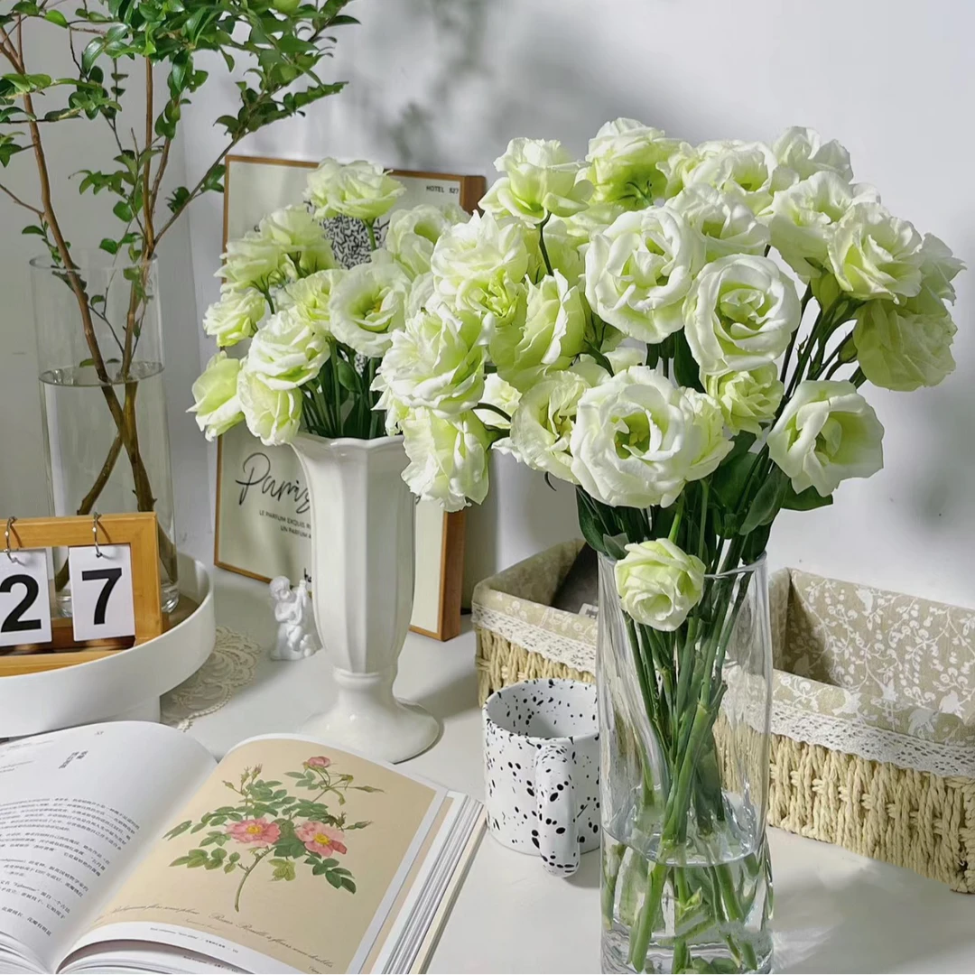 【顺丰冷链包邮】1束800g绿色洋桔梗鲜花温柔家庭办公水养装饰插花