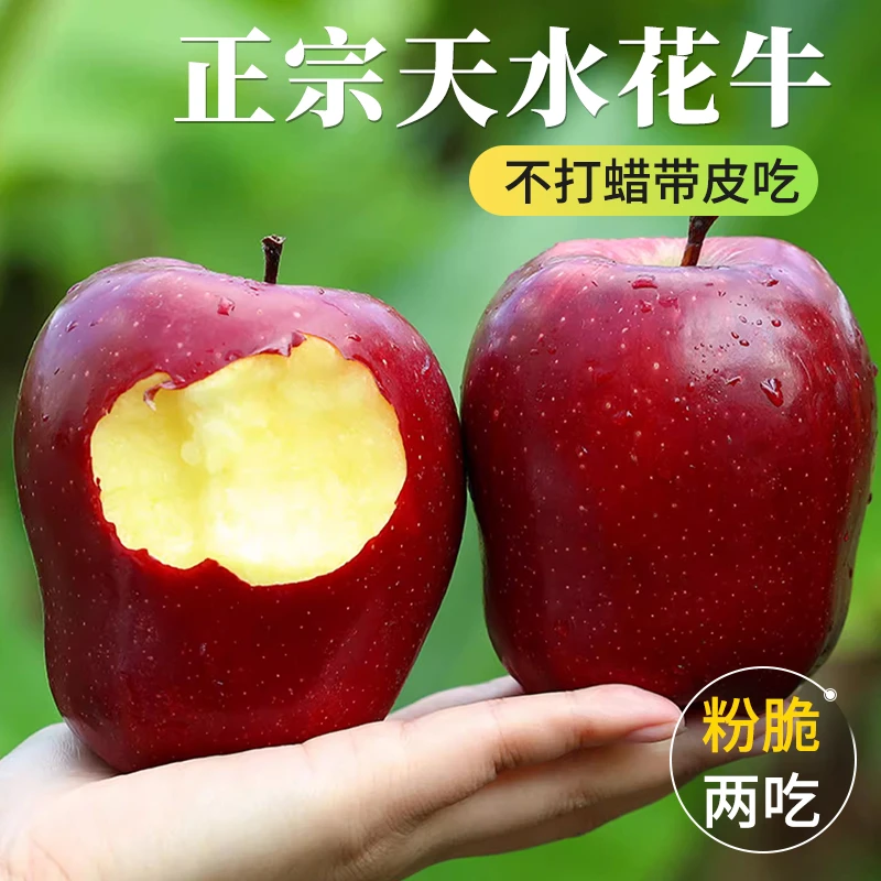 正宗花牛苹果 带箱5斤天然脆粉蛇果新鲜脆甜多汁多仓发货当季水果