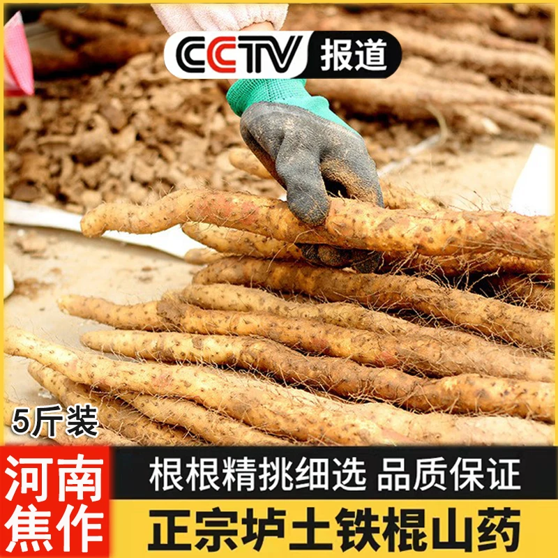 正宗河南焦作温县垆土铁棍山药怀山药产地直发特产香糯净重5斤箱