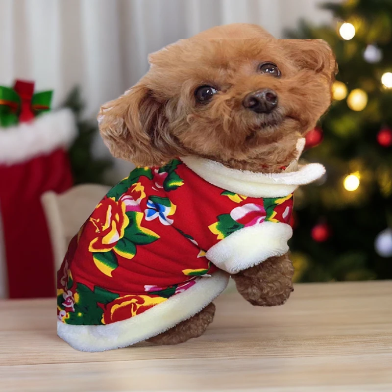 猫咪狗狗春冬季东北大花背心布偶幼猫英短防脱防掉毛宠物喜庆洋气