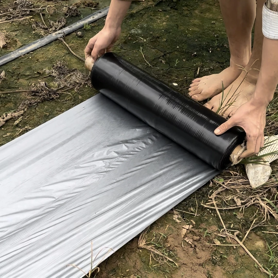 农用银黑双色地膜反光保湿降温除虫除草盖草果树果园蔬菜大棚专用