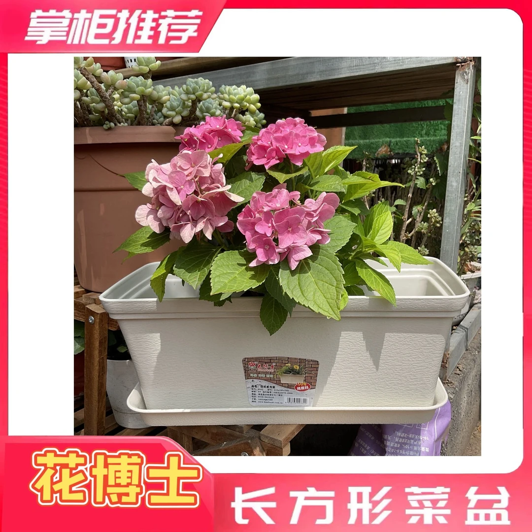 阳台种菜盆种米色菜蔬菜长方形塑料长条花盆槽盆栽种植盆特大花盆