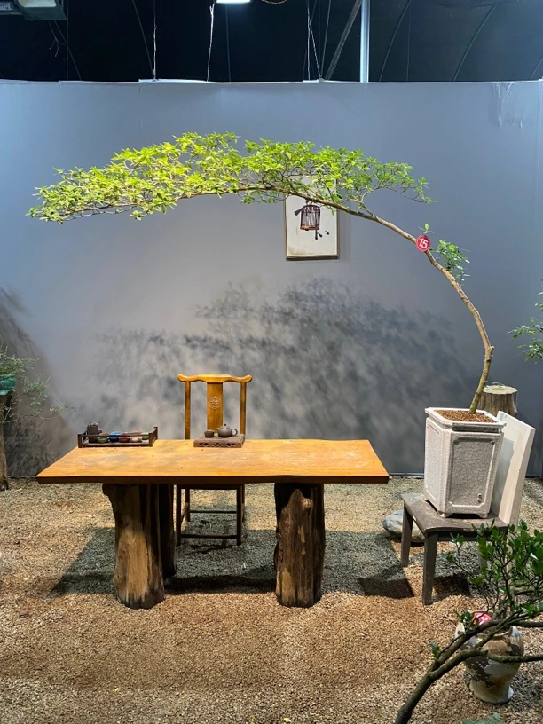 《四季.盆景》一物一拍链接，实物请以直播间为准