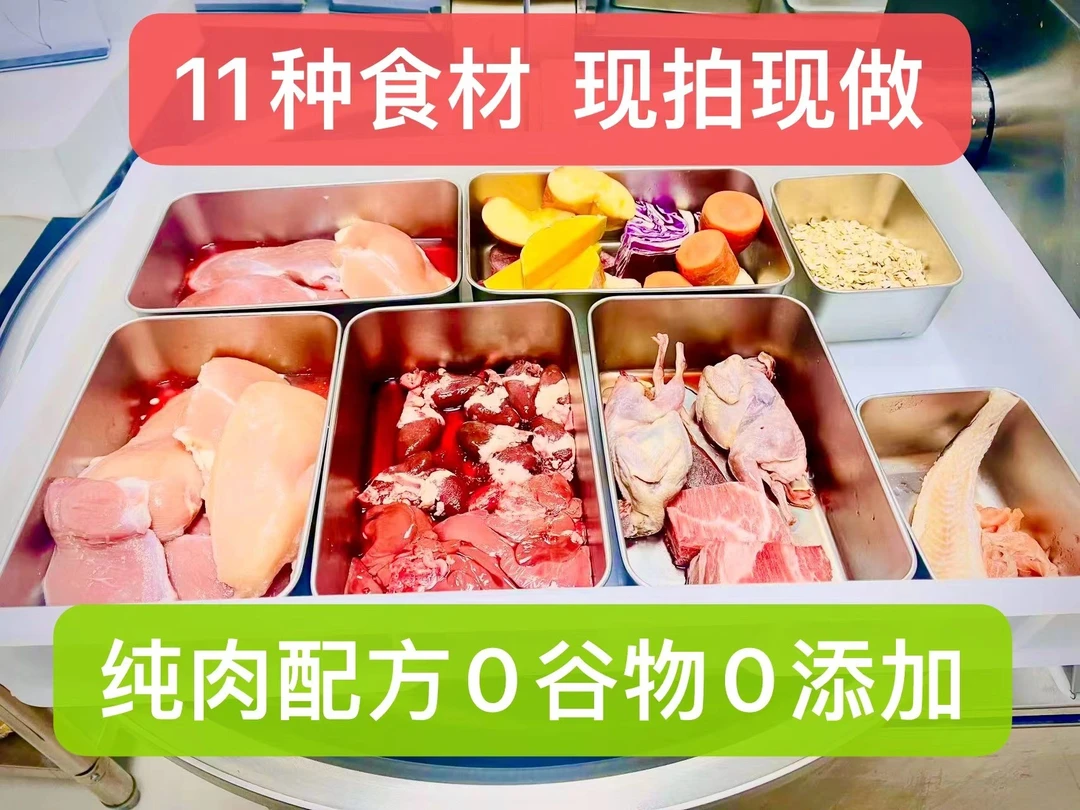 全猫种全阶段猫龄通用型猫猫正餐鲜食包新鲜营养多种猫条零食罐头