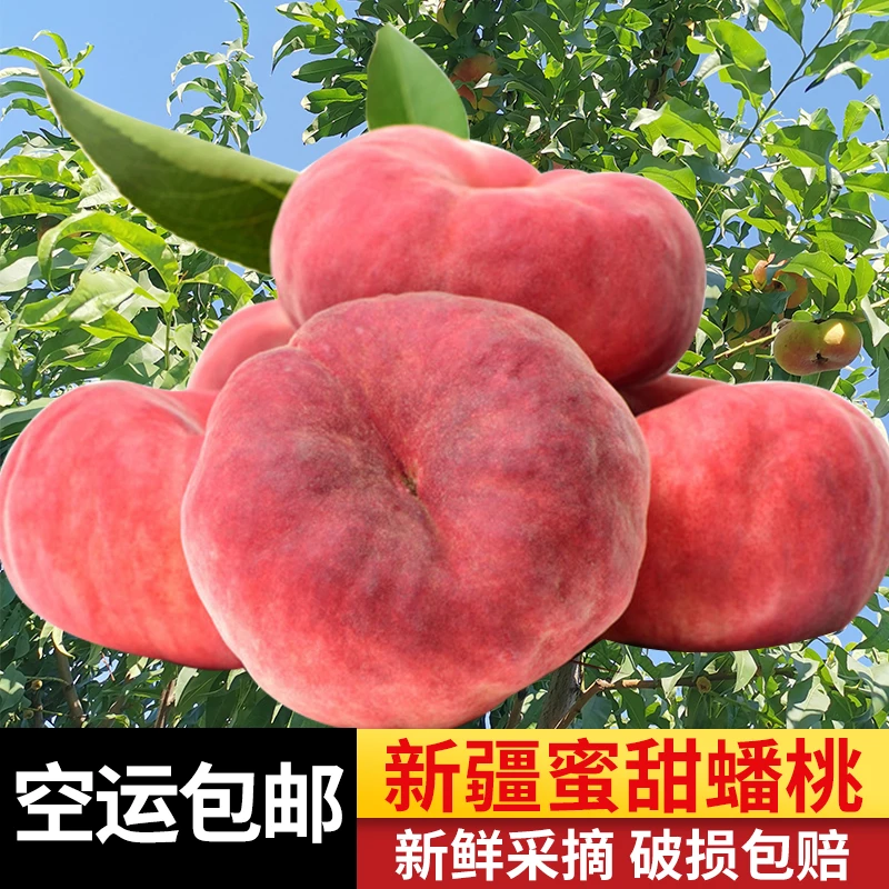 【空运包邮】新疆蟠桃应季新鲜爆汁香甜，143团现摘现发，坏果包赔