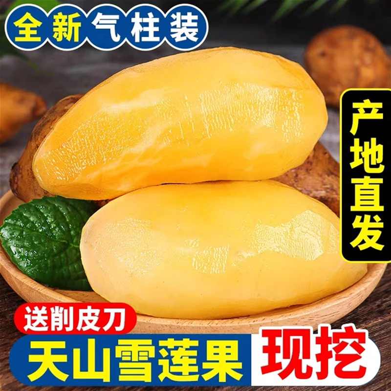 现挖2024年云南天山雪莲果新鲜孕妇当季水果脆甜多汁9斤5斤3斤