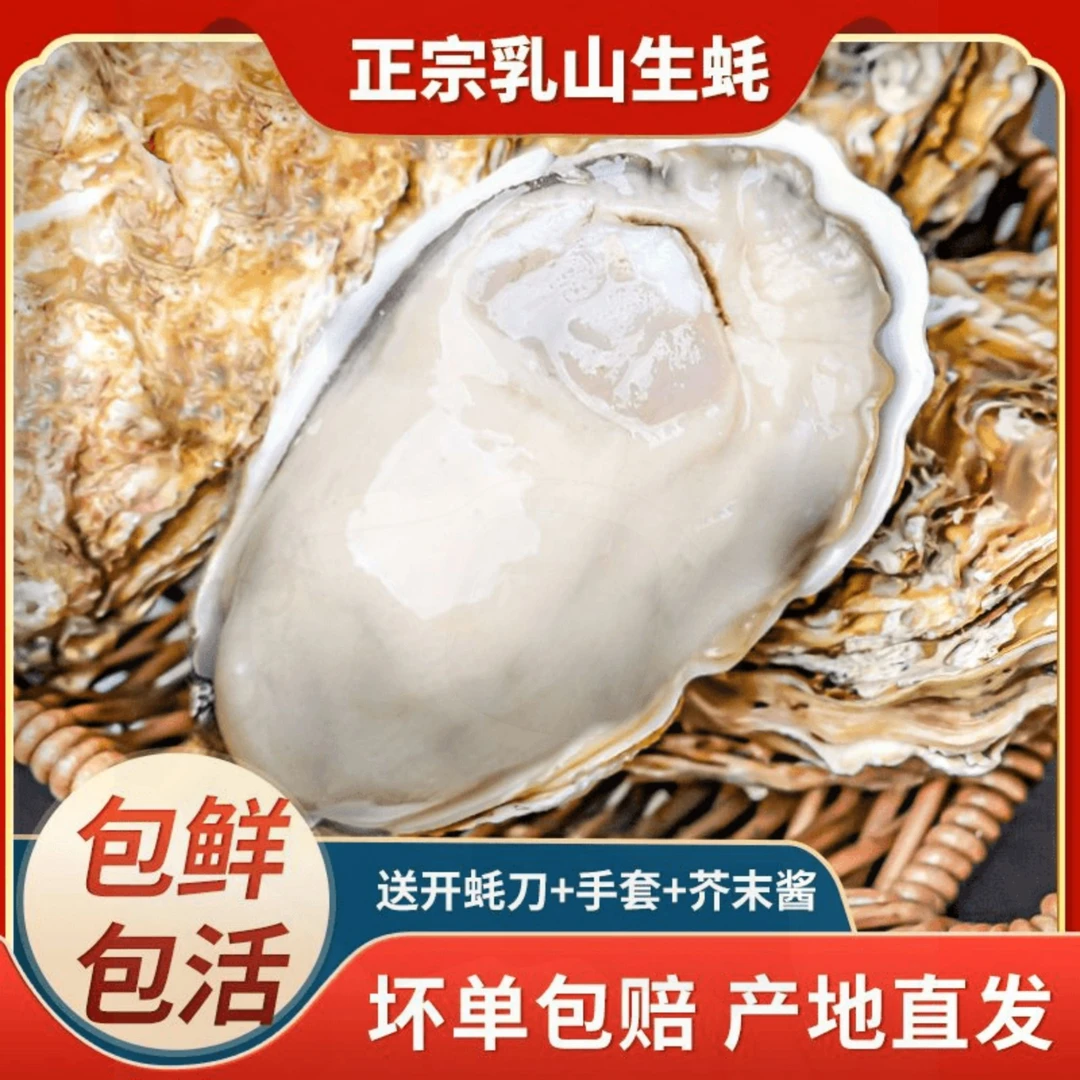 【正宗乳山生蚝】新鲜牡蛎海蛎子原产地5斤/10斤冷链包邮乳山大生蚝