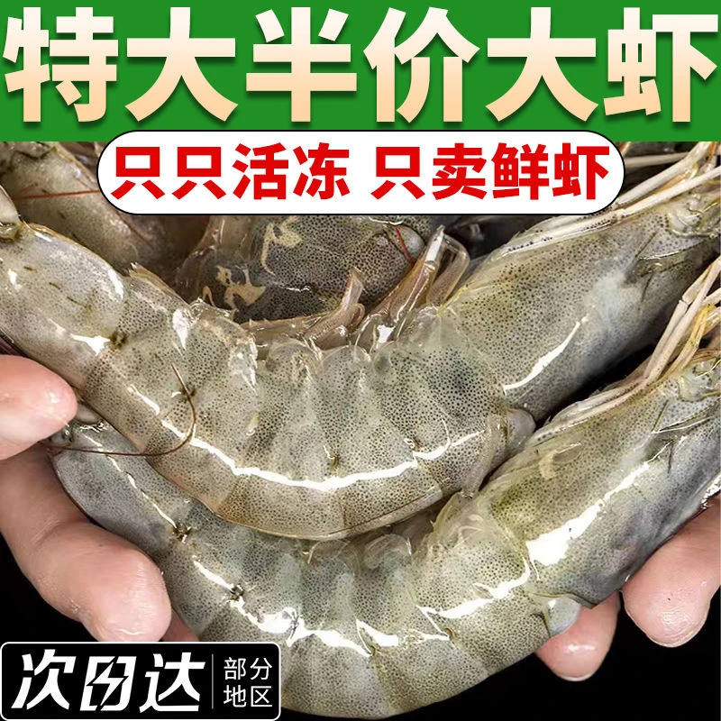 【小扬哥推荐】新鲜大虾鲜活大基围虾青岛大虾国产白虾海虾冷冻海捕
