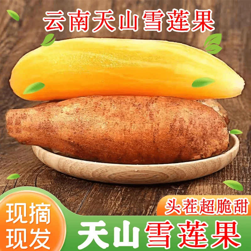 【稀有珍品 天山雪莲】云南天山雪莲果脆甜多汁清甜可口营养美味