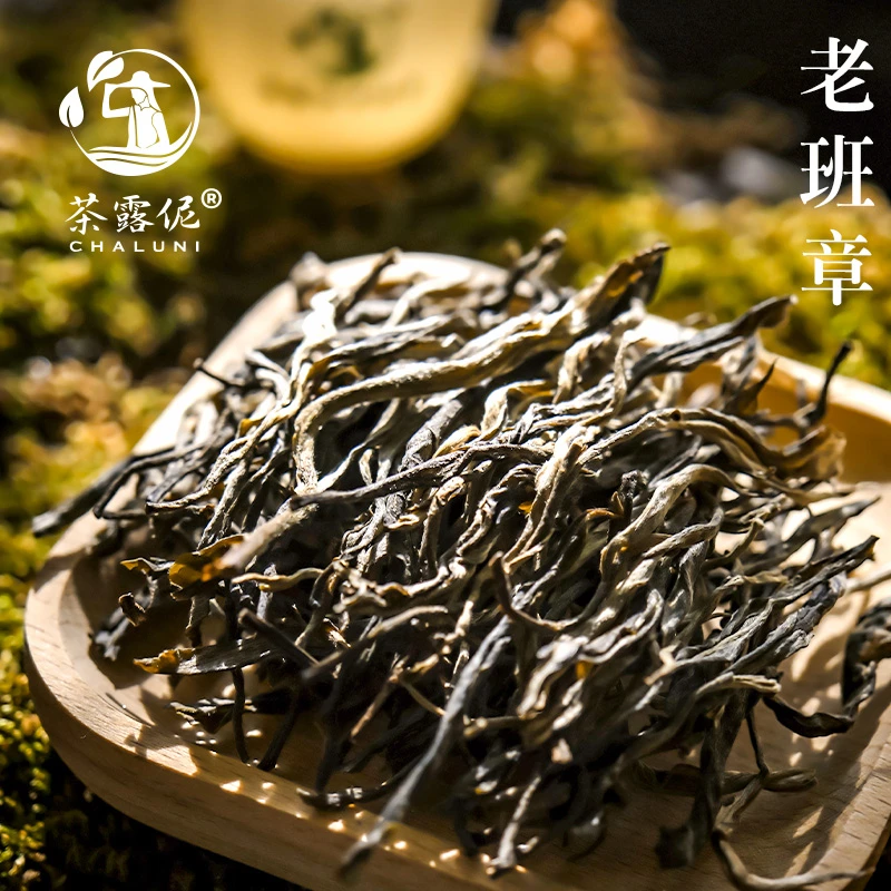 2025年老班章【茶王地紫芽】大古树单株 头春散茶生茶