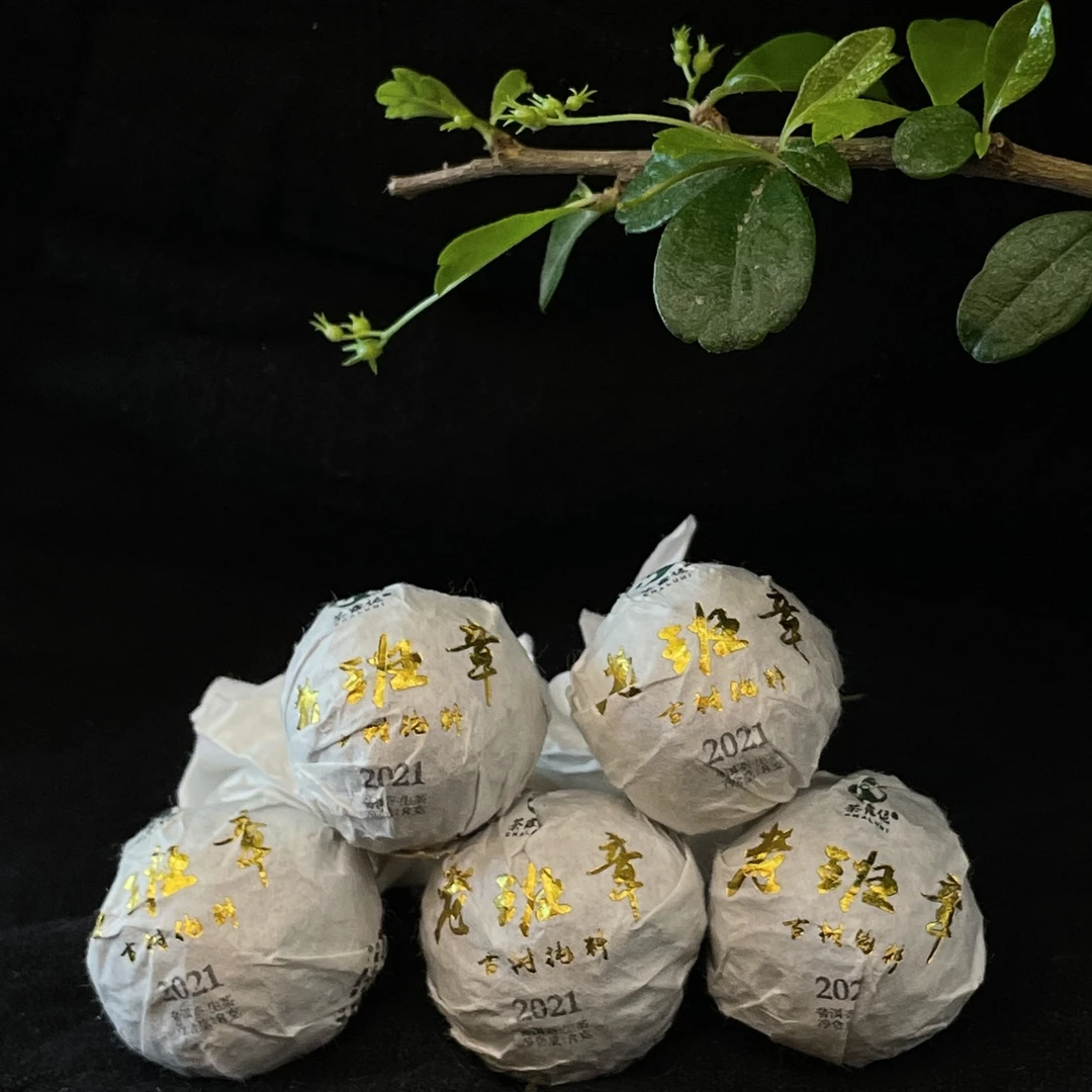 茶露伲2021年老班章古树纯料头春 普洱生茶 8克/颗