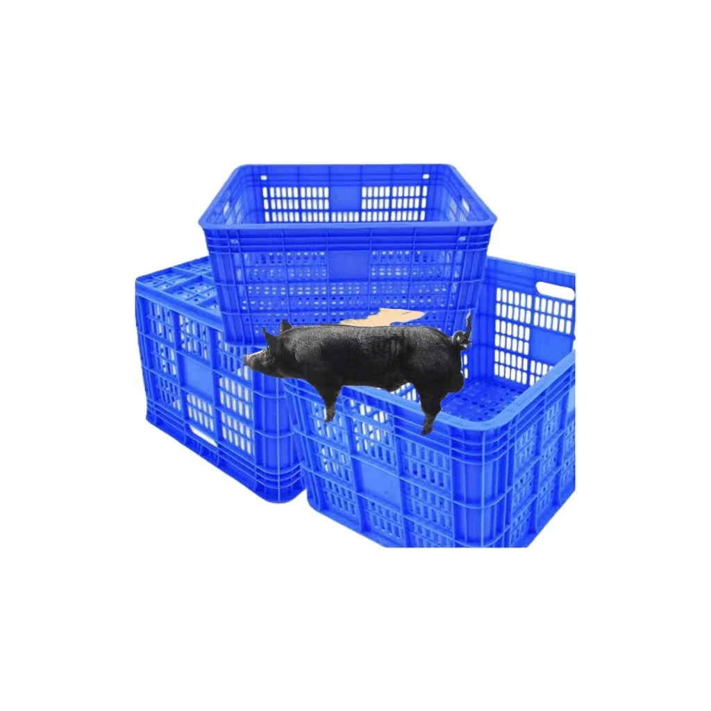 （生态跑山黑猪）一件包邮包对班包纯种带框发货周转框子笼子猪笼