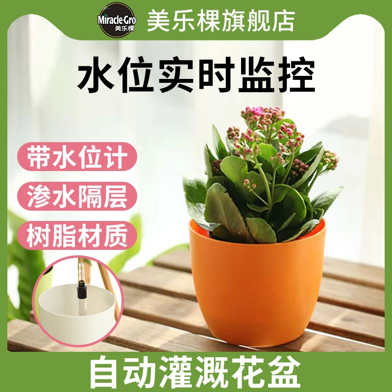 美乐棵自动浇灌花盆 1.3升 储水懒人花盆环保树脂塑料黑色白色