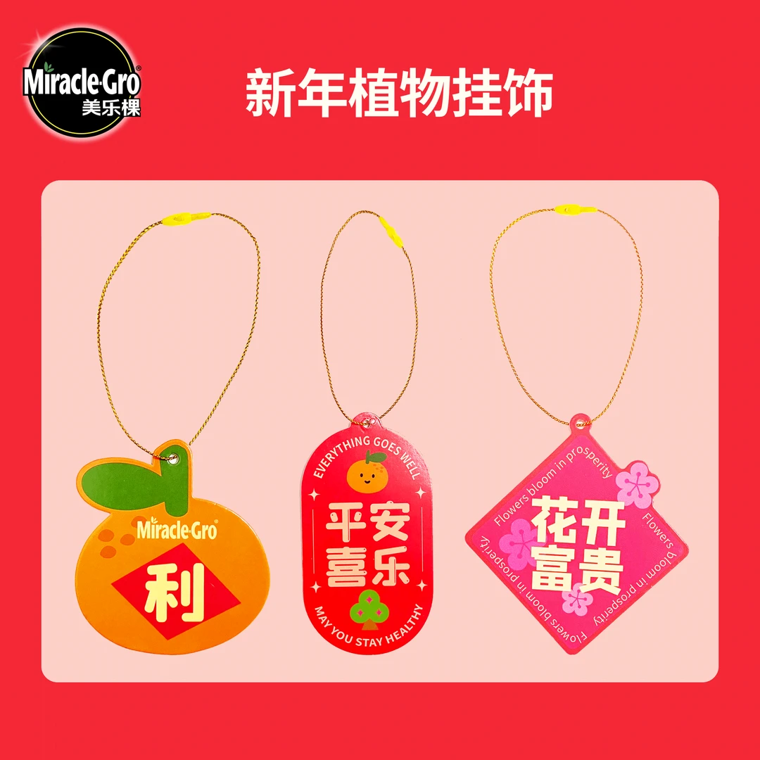 新年植物挂饰三件套