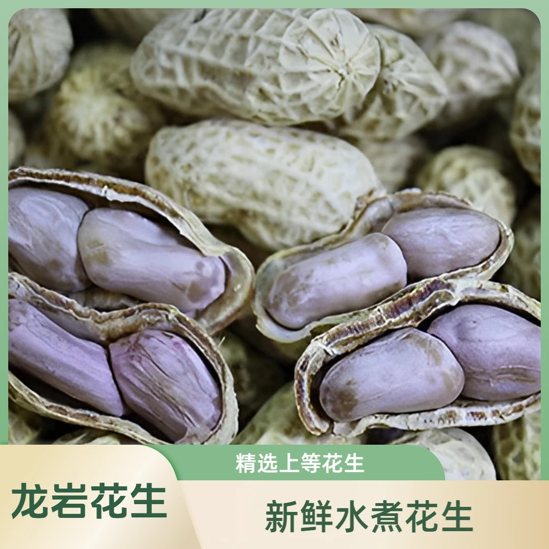 优选新鲜花生水煮咸干花生不脆有嚼劲休闲坚果零食500g装龙岩花生