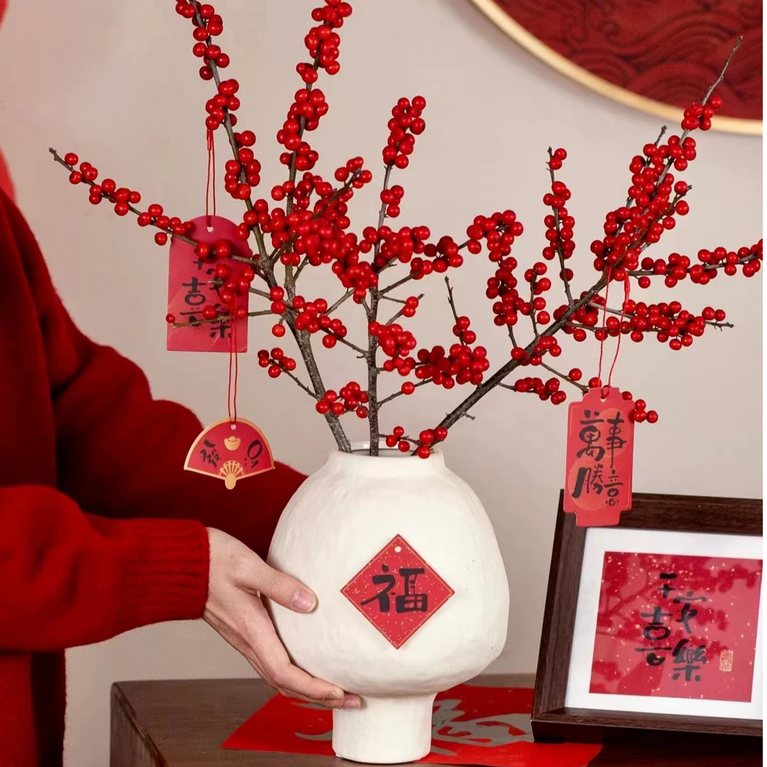 【一路长红】冬青果云南基地直发家居合适好物容易修剪