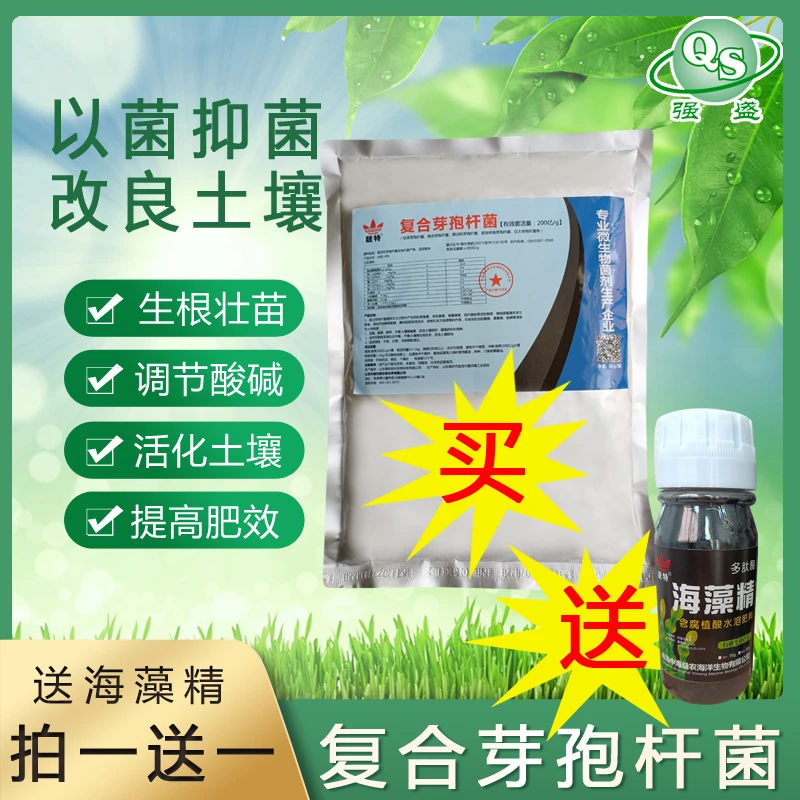 微生物菌剂 复合芽孢杆菌 枯草芽孢杆菌 促根 生根 专业活性菌素