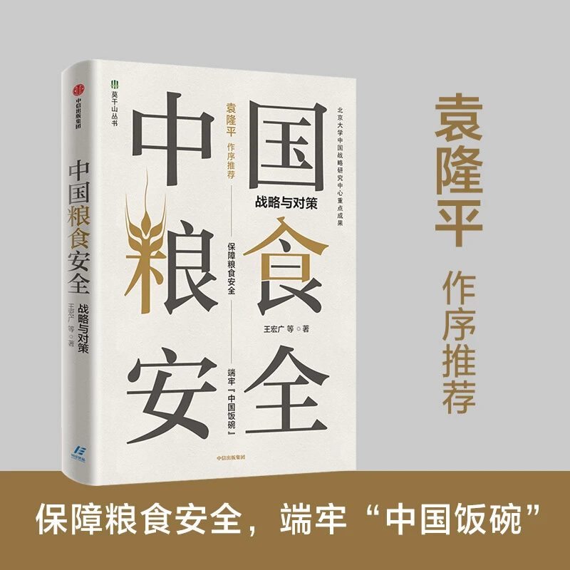 中国粮食安全 战略与对策 王宏广 著