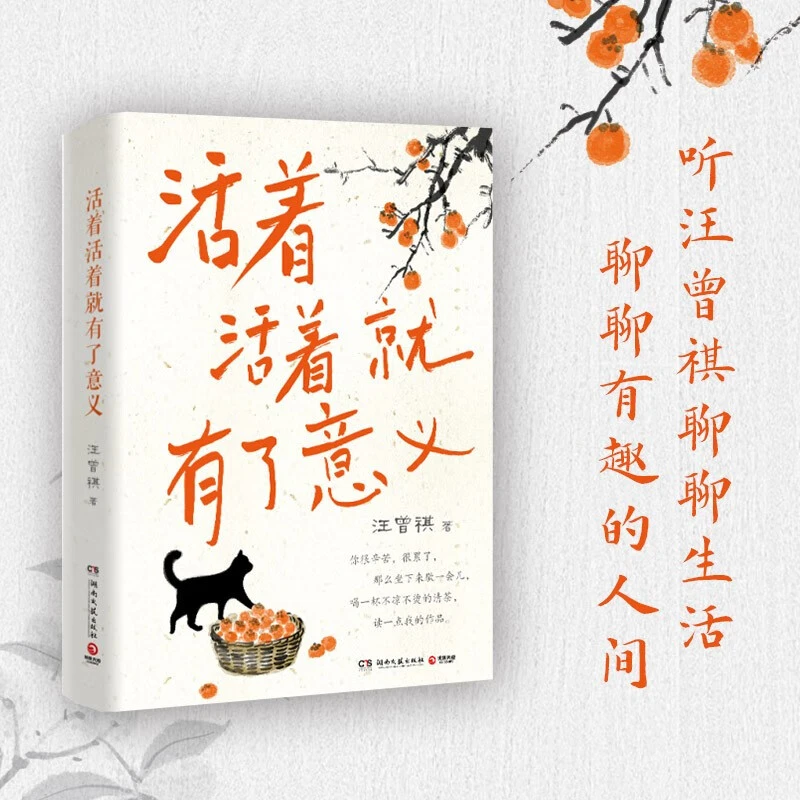 活着活着就有了意义 汪曾祺 著 散文