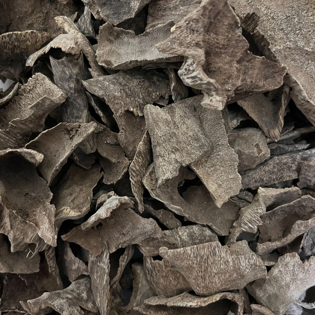 芽庄壳子块料上炉熏香