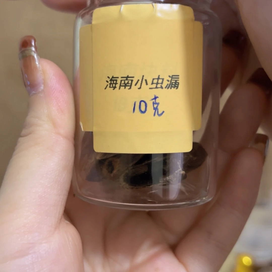 【闪购商品】海南小虫漏多样性发10克