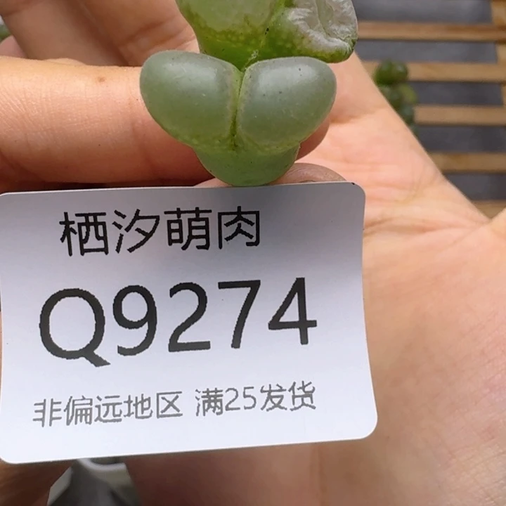 李****)274................