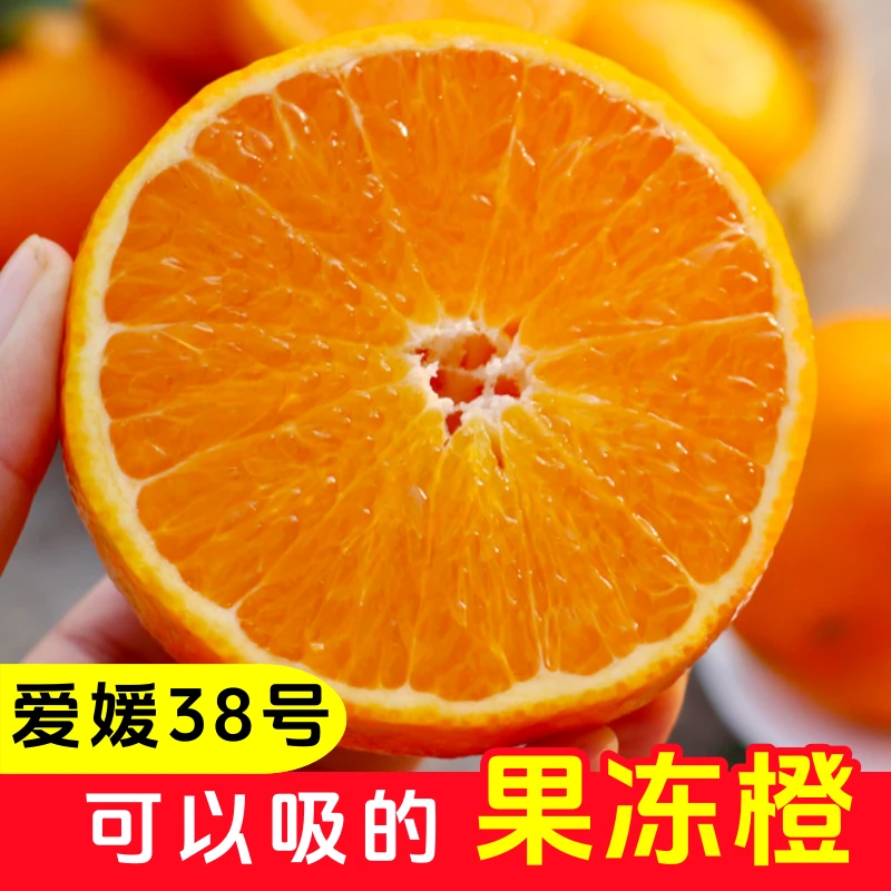 【爱媛果冻橙】包邮正宗湖北秭归新鲜水果柑橘手剥橙子香甜现摘现发