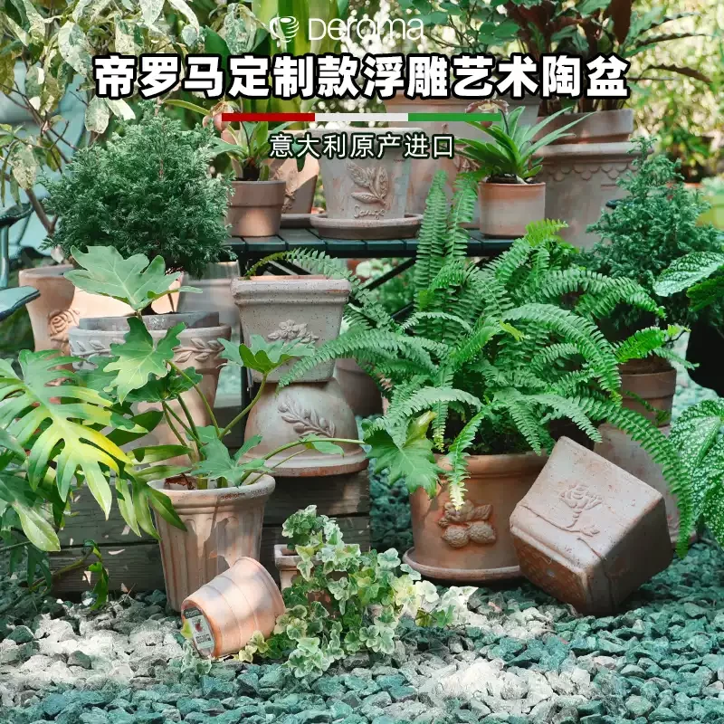青野帝罗马Deroma香草玫瑰柠檬桌面家用阳台多肉高颜值陶土花盆