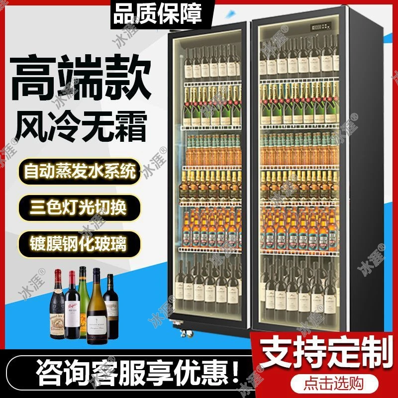 双门立式大容量冷藏柜风冷冷柜