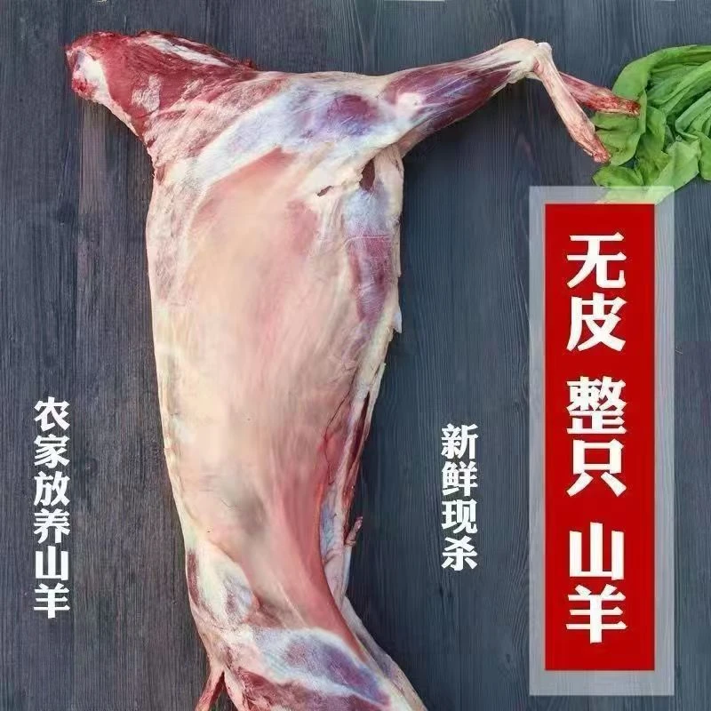 烤全羊新鲜速冻羊肉现杀小羔羊沂蒙山现宰羔羊整只山羊白条羊i