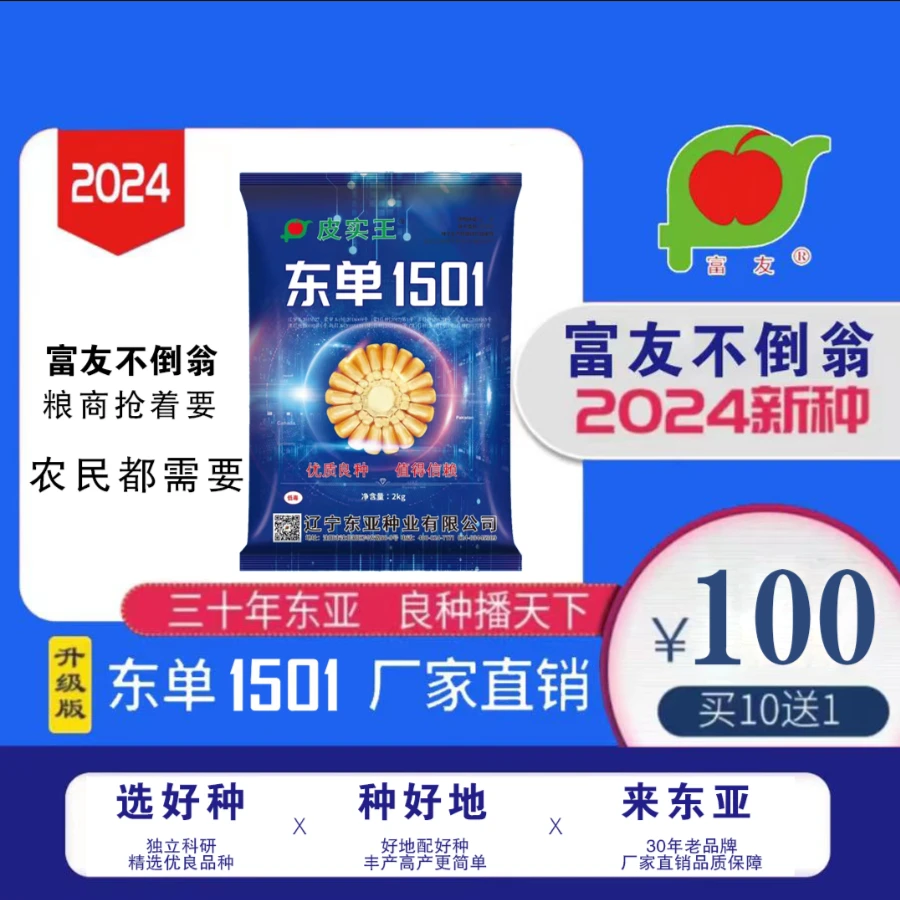 东单1501 升级版 玉米种子 大棒 紫根 东亚