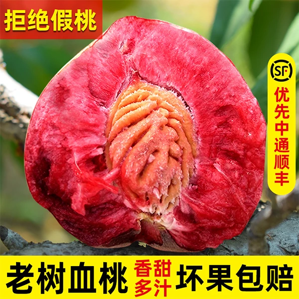 桐柏正宗朱砂红血桃5斤新鲜水果脆桃现摘水蜜桃狗血桃子红心桃