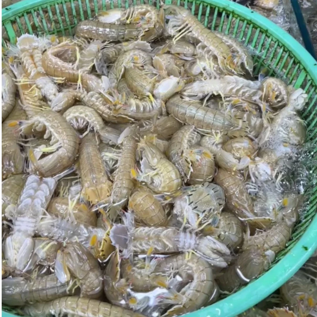 【精品】皮皮虾特价 一斤