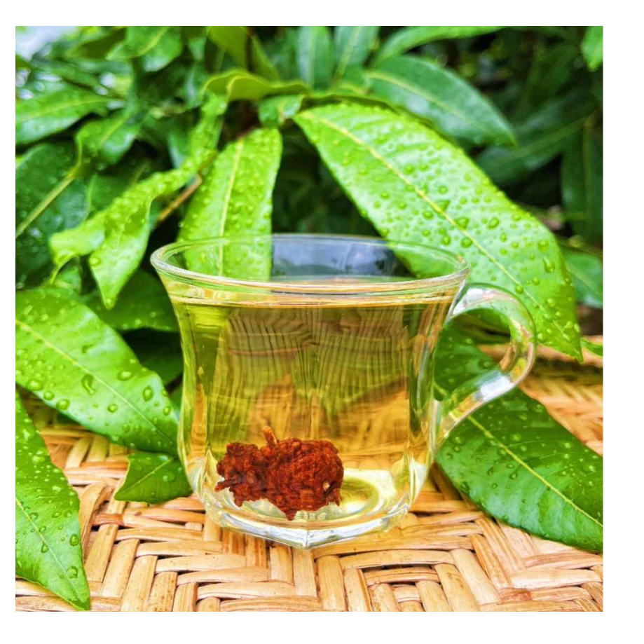 【超超专属】精选缅越山货清瘤果500g