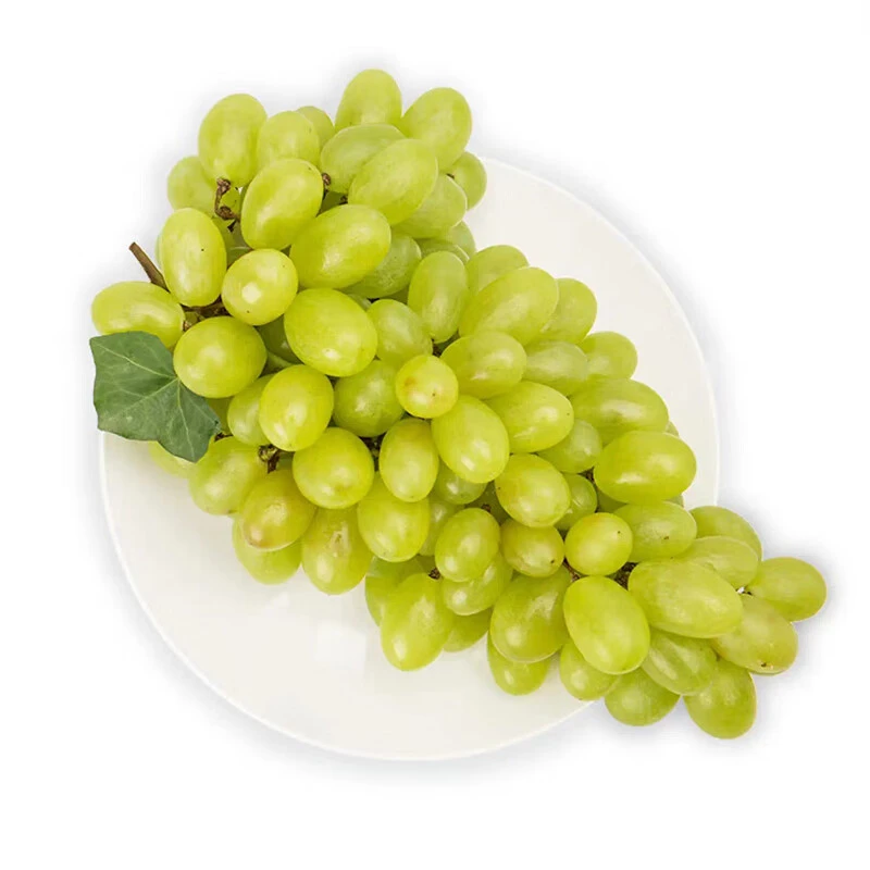 新疆无籽白葡萄700g-750g