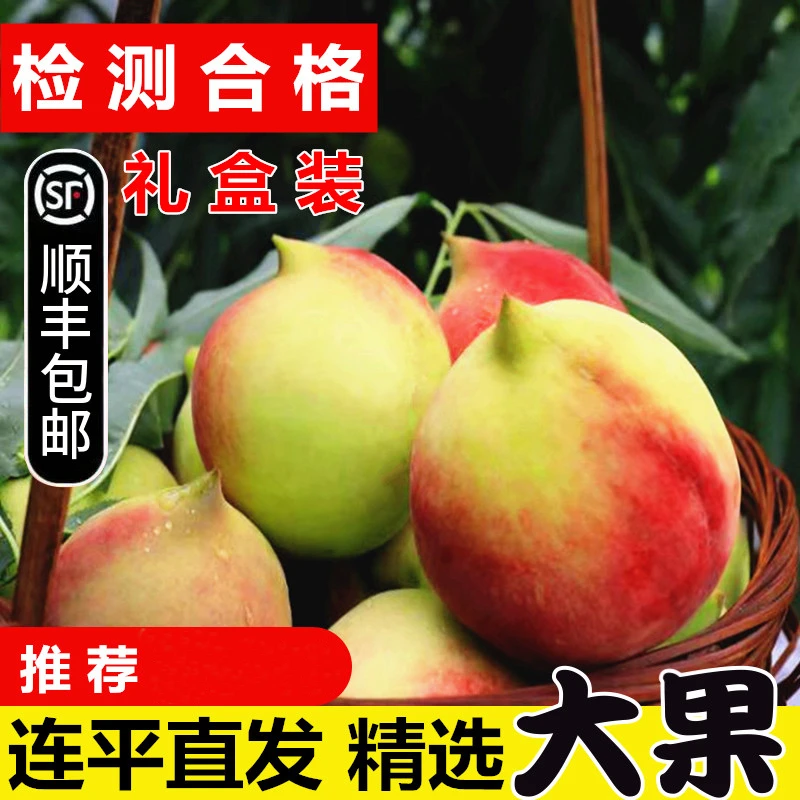 正宗河源连平鹰嘴桃新鲜采摘大果8斤装礼盒装连平果园现摘现发