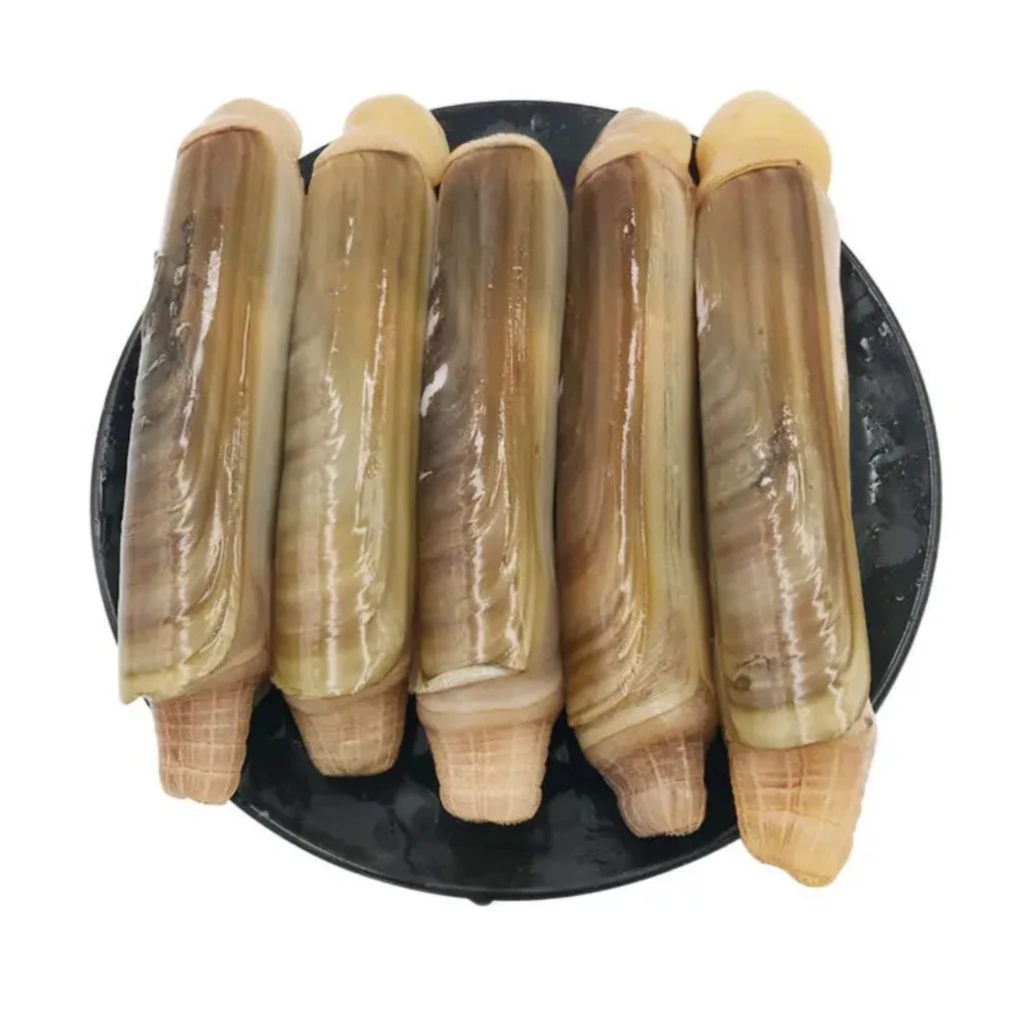 【东三省发货】竹节蛏 3斤