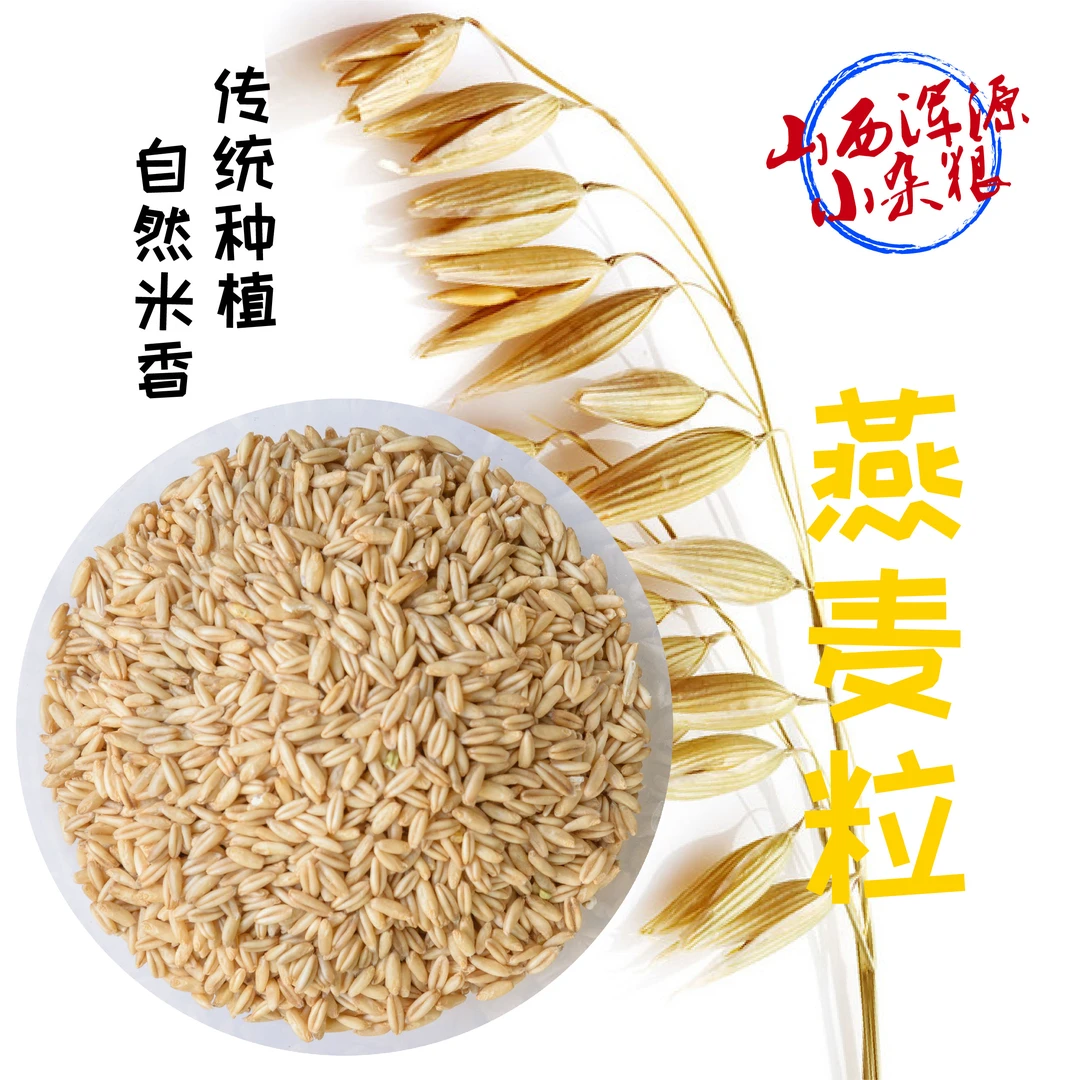 2023年生燕麦米煮粥非即食燕麦粒营养早餐煲粥杂粮粗粮山西农家
