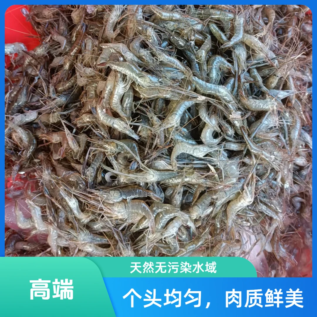 河虾新鲜生态大青虾丹江淡水水产冷冻顺丰发货自然生长