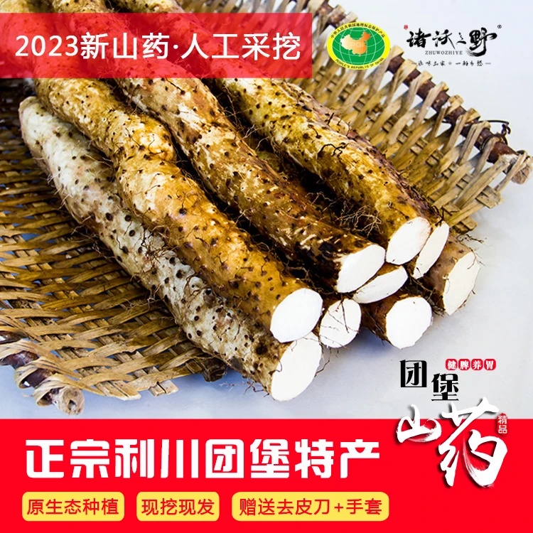 利川团堡山药 糯米面山药 湖北利川特产高山红皮野淮山药新鲜现挖
